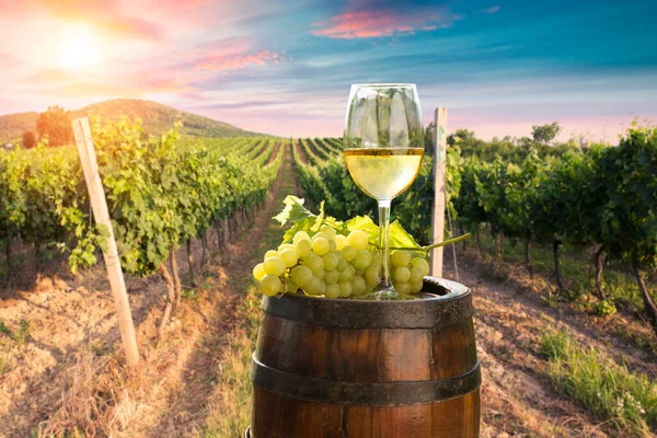 A fresh chilled glass of ice wine overlooking a Canadian vineyard during a Summer sunset