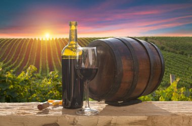 Chianti, Toskana, İtalya 'da üzüm bağında beyaz şarap