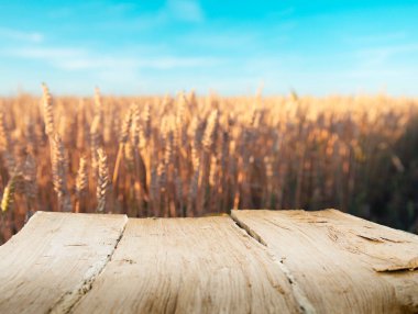 Olgun mısır başaklı ahşap masa.