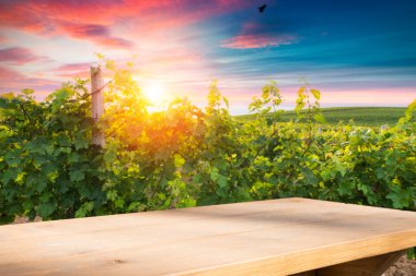Üzüm bağı masa üstü tasarımı. Şarap arka planı. Üzüm bağı ve boş ekran ile sonbahar tasarımı. Sonbahar üzümleri hasat