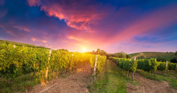 Lente Landschap Van Groene Slagtanden Tafel Plaats Textuur — Stockfoto