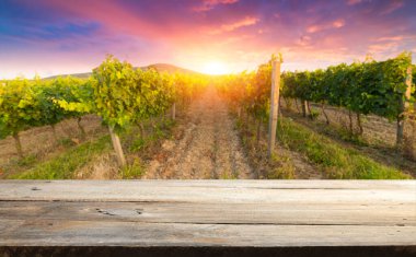 Tuscany, İtalya 'daki Chianti üzüm bağı manzarası