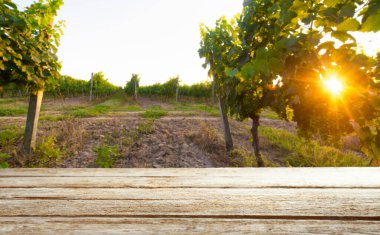 Tuscany, İtalya 'daki Chianti üzüm bağı manzarası