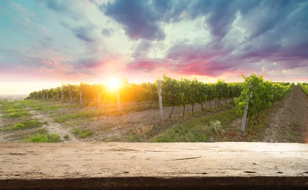 Paisaje Del Viñedo Chianti Toscana Italia Campo — Foto de Stock