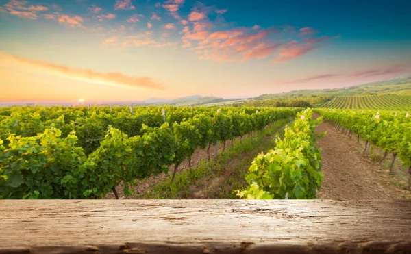 Chianti Wijngaard Landschap Toscane Italië Veld — Stockfoto