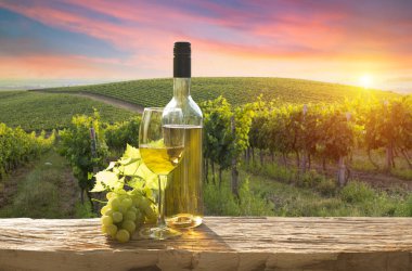 Tuscany, İtalya 'daki Chianti üzüm bağı manzarası