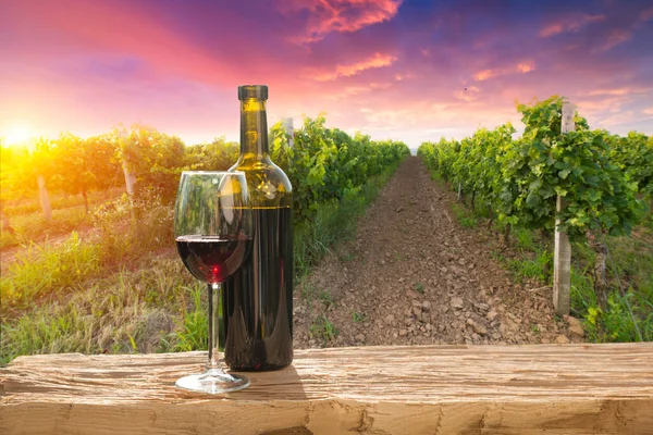 Chianti Vingård Landskap Toscana Italien Fält — Stockfoto