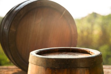 Tuscany, İtalya 'daki Chianti üzüm bağı manzarası