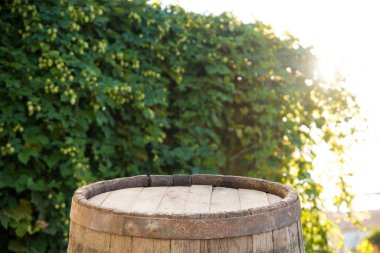 Bir fıçı bira ve zıpla dolu bir hayat.