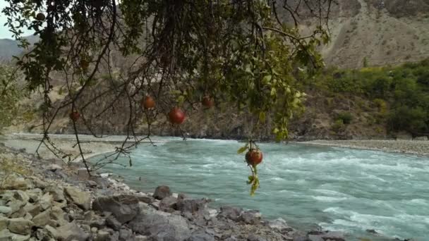 Grenade près de la rivière de montagne Panj — Video