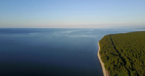 Dicht groen naaldbos aan de oever van een groot blauw meer Baikal — Stockvideo