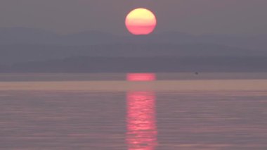 Büyük kırmızı güneş gün batımında dağların arkasına gider, martı kuş batan güneşin ışınlarında, suda balık yakalar.