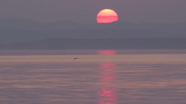 산 위로 붉은 해가 지고 있습니다. 물에 반사 됨. 담낭, 호수우 빌디. 새 가물 위를 나는 모습. — 비디오