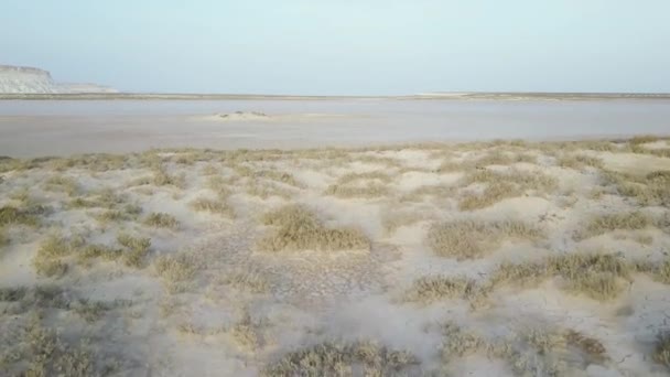 Solonchak in de woestijn op het schiereiland Mangyshlak in Kazachstan — Stockvideo