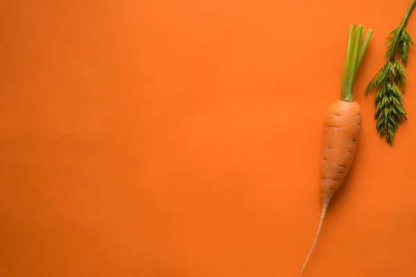 Havuç renginde taze havuç.