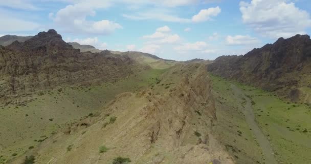 Mountain view in the mongolian desert — Stock Video