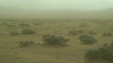 Moğolistan 'daki Gobi çölünde kum fırtınası