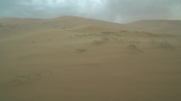 Moğolistan 'daki Gobi çölünde kum fırtınası — Stok video