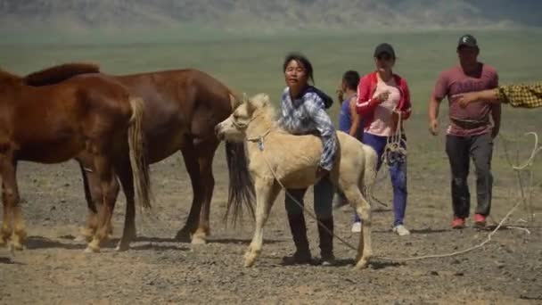 Улан-Батор Монголия, 3 мая 2019 года: Монгольские пастухи ловят лошадей верёвкой — стоковое видео