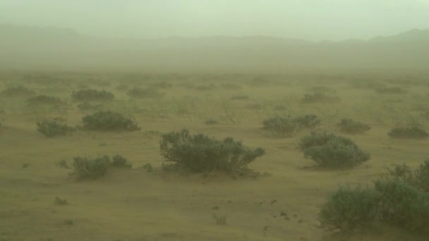 Sandstorm i Gobi öknen i Mongolia — Stockvideo