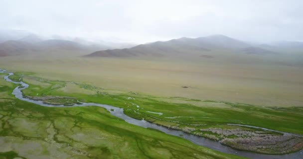 Rivier stroomt langs de bergen in Mongolië — Stockvideo