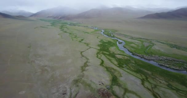 Rivier stroomt langs de bergen in Mongolië — Stockvideo