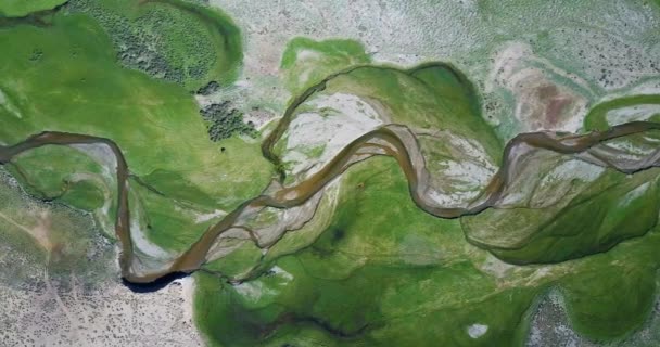 Fluss fließt entlang der Berge in der Mongolei — Stockvideo