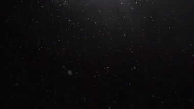 Kar ağır çekimde uçar. Düşen gerçekçi kar taneleri tepeden tırnağa, dijital kompozisyon için mükemmel. 