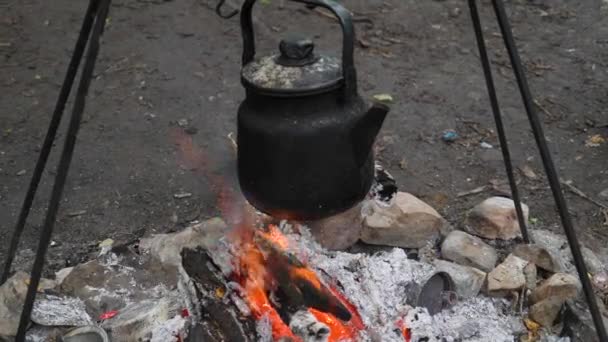 Doğadaki ana kampta bir çaydanlık yanıyor. — Stok video