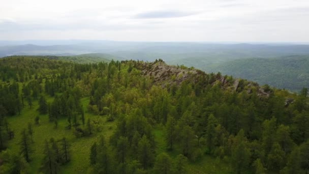 Jehličnatý les rostoucí na kamenité půdě hory na Urale — Stock video