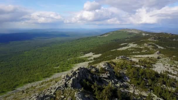 Barrskog som växer på stenig mark i ett berg i Uralbergen — Stockvideo