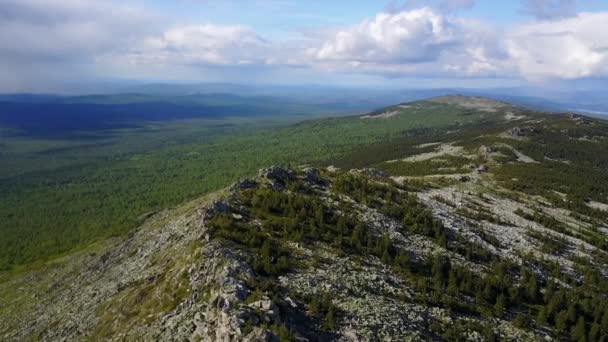 Barrskog som växer på stenig mark i ett berg i Uralbergen — Stockvideo