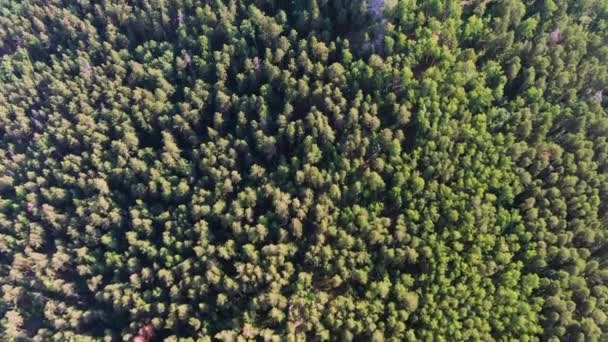 Vista aérea das montanhas urais, arakul shikhan, Urais do Sul — Vídeo de Stock