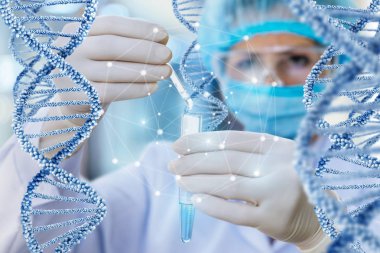 Doktor test ve çalışma Dna moleküllerinin yürütmektedir .
