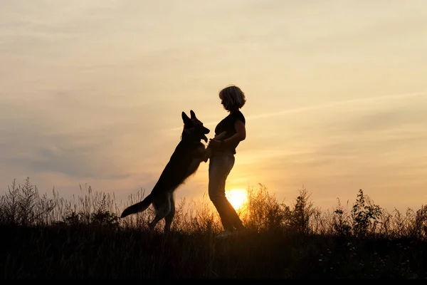 日落时分女子与狗玩耍 — 图库照片