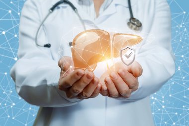 Doktor korumalı insan karaciğer üzerinde mavi arka plan gösterir..