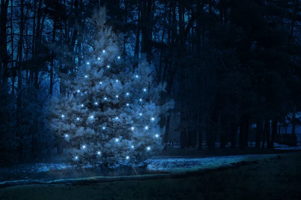 一个装饰着闪亮灯光的新年冷杉树 矗立在午夜的冬林中 这个概念是新年前夜的庆祝活动 — 图库照片
