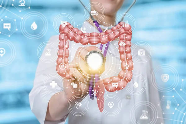 Bağırsak modeli tıp sistemi yapısıyla bir stetoskop ile dokunaklı bir doktor.