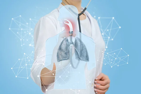 Een arts die werkt met menselijk lichaam model met ontsteking in de keel en zieke longen. — Stockfoto