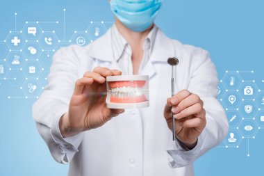 Protez modeli ve diş aynası gösteren bir diş hekimi.
