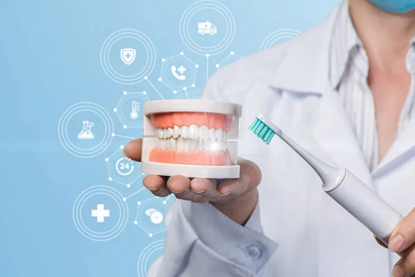 A dentist holding a denture and a toothbrush. — Stock Photo, Image