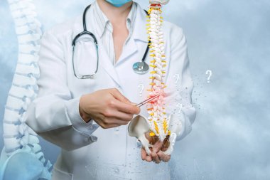 Spin modelinin iltihaplı bir kısmını gösteren bir doktor.