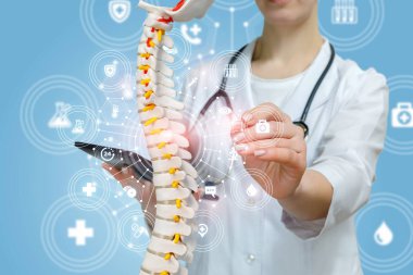 Elinde tablet olan bir doktor spin modeliyle çalışıyor..