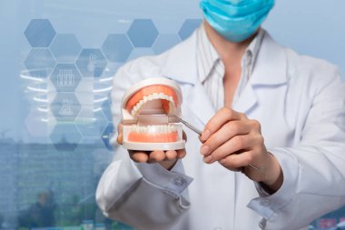 Bir diş hekimi açılan yapay çene modelini işaret ediyor..