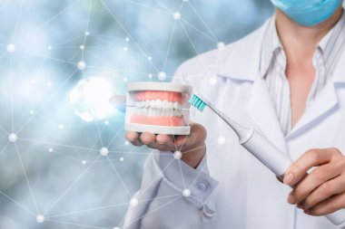 Bir diş hekimi yapay çeneyi ve diş fırçasını tutuyor..