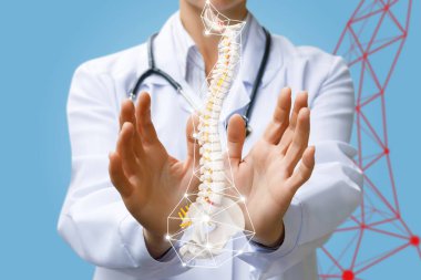 Pelvis ünitesi ile dijital yapay omurga modeli ile çalışan bir doktor.