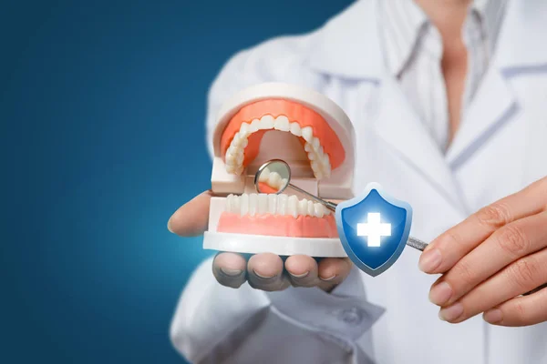 Um dentista com um modelo de mandíbula artificial aberta e um espelho dental . — Fotografia de Stock
