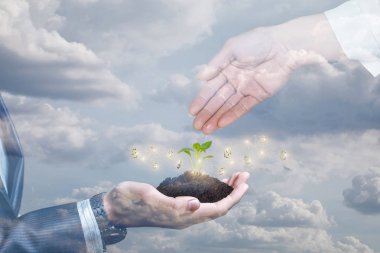 Etkin büyüme finansmanı kavramı.