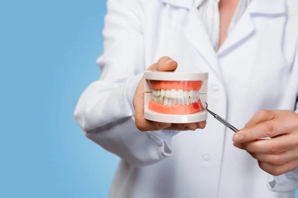 医師は歯のモデルの歯茎の問題を示す. — ストック写真