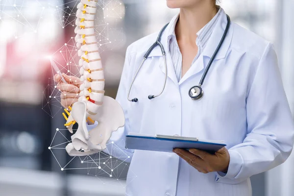Un trabajador médico muestra la columna vertebral  . —  Fotos de Stock
